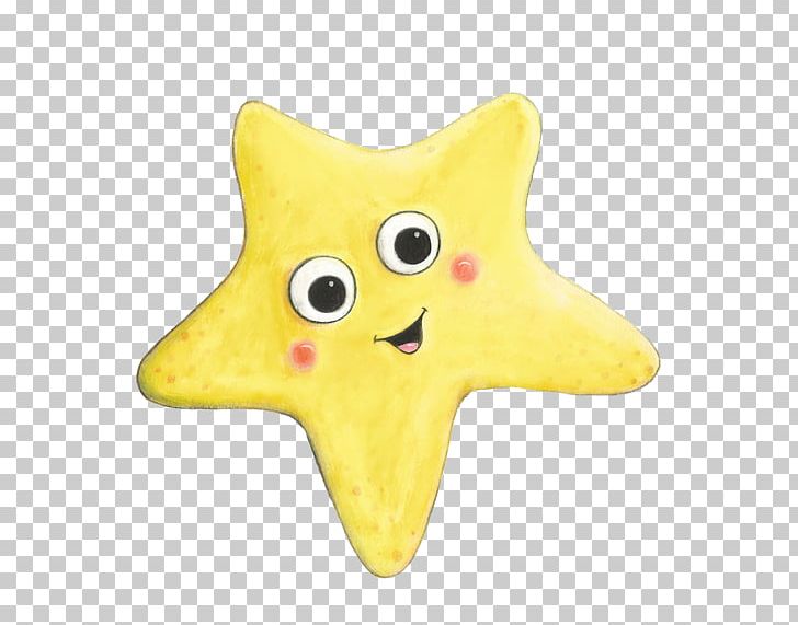 Marine Invertebrates Starfish Echinoderm Dog PNG, Clipart, Animal, Animals, Canidae, Carnivora, Carnivoran Free PNG Download