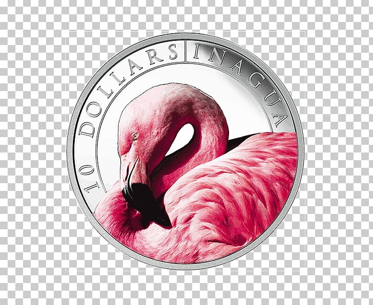 Central Bank Of The Bahamas Coin PNG, Clipart, Bahamas, Bank, Bird, Cartoon Flamingo, Central Bank Free PNG Download