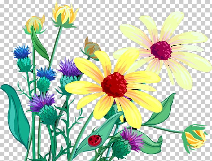 Chrysanthemum Tea PNG, Clipart, Annual Plant, Chrysanthemum, Chrysanthemum Chrysanthemum, Chrysanthemum Flowers, Chrysanthemums Free PNG Download