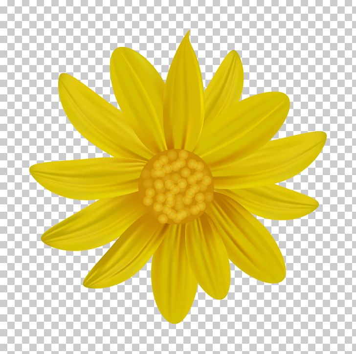 Logo PNG, Clipart, Art, Chrysanthemum, Chrysanths, Dahlia, Daisies Free PNG Download