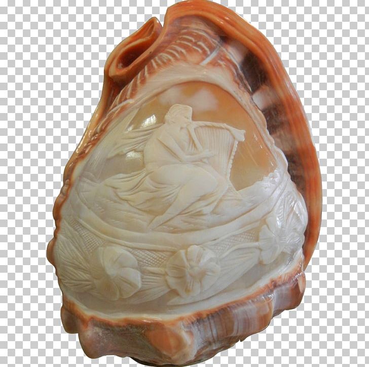 Clam Shankha Conchology PNG, Clipart, Carve, Carving, Clam, Clams Oysters Mussels And Scallops, Conch Free PNG Download