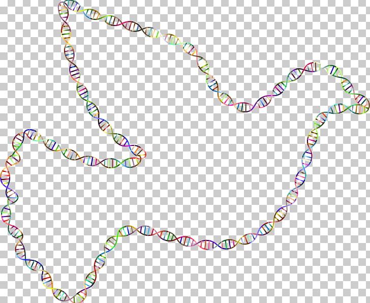 Columbidae DNA Doves As Symbols Bird PNG, Clipart, Animal, Bead, Biology, Bird, Body Jewelry Free PNG Download