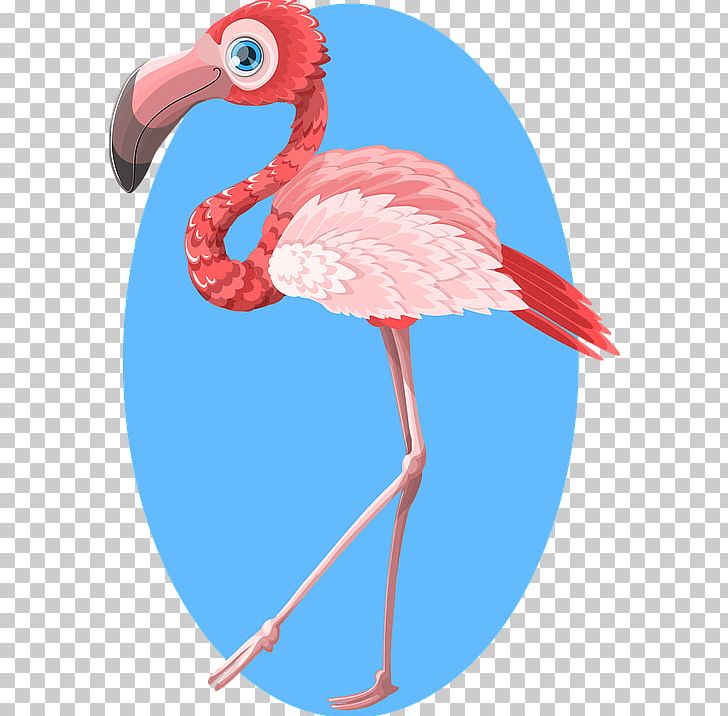 Flamingo Zazzle Gift Bird PNG, Clipart, Animals, Beak, Bird, Drawing, Feather Free PNG Download