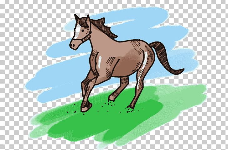 Mule Foal Mustang Stallion Pony PNG, Clipart, Cartoon, Equestrian, Equestrian Sport, Fauna, Fictional Character Free PNG Download
