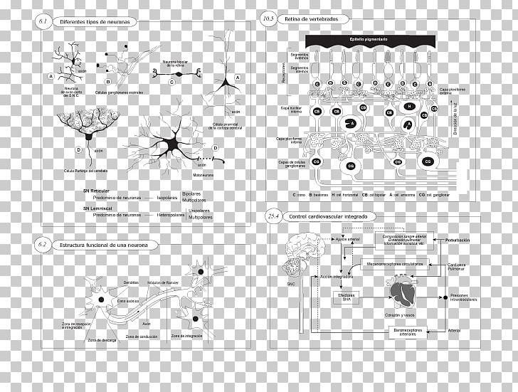 Paper Product Design Pattern Point Line Art PNG, Clipart, Angle, Area, Art, Black, Black And White Free PNG Download