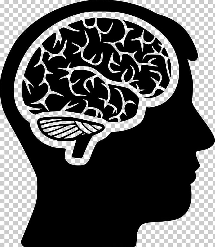 Brain Human Head Computer Icons PNG, Clipart, Brain, Computer Icons, Head, Homo Sapiens, Human Free PNG Download