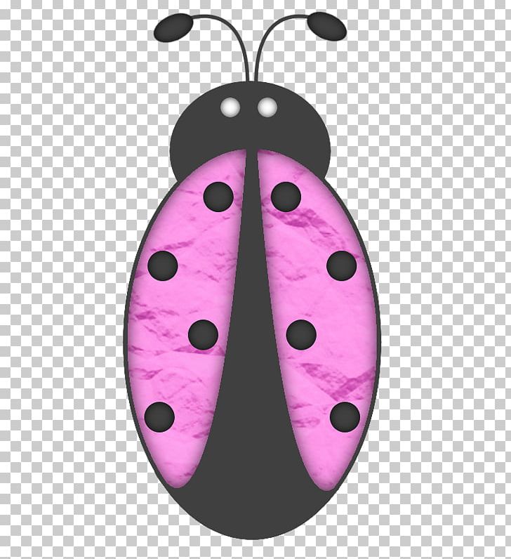 Ladybird PNG, Clipart, Animals, Beatles, Beetle, Color, Download Free PNG Download