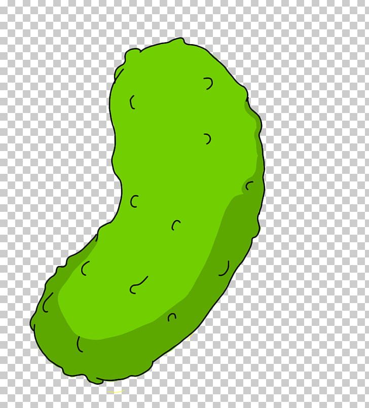 Pickled Cucumber Color Pickle Pickling PNG, Clipart, Area, Christmas Pickle, Clip Art, Color, Color Pickle Free PNG Download