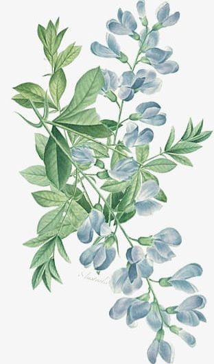 Wind Blue Flowers Illustration PNG, Clipart, Abstract, Backgrounds, Blue, Blue Clipart, Botany Free PNG Download
