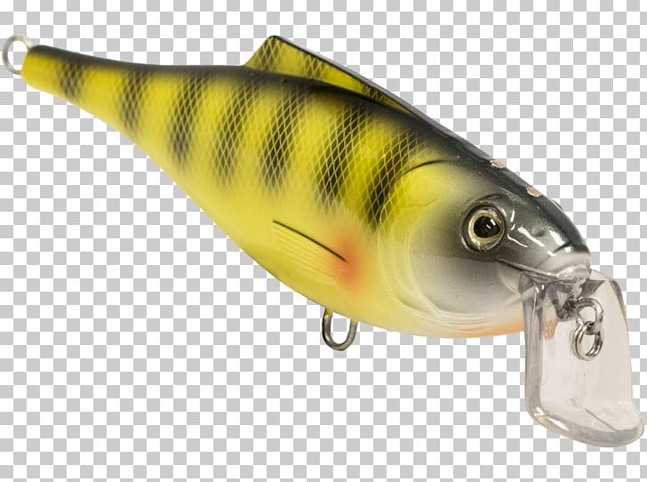Perch Spoon Lure Osmeriformes Oily Fish PNG, Clipart, Ac Power Plugs And Sockets, Bait, Bony Fish, Fish, Fishing Bait Free PNG Download