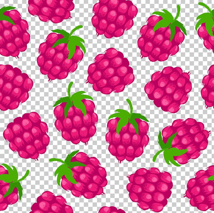 Raspberry Boysenberry Frutti Di Bosco Fruit PNG, Clipart, Background, Berry, Blackberry, Blackcurrant, Blueberry Free PNG Download