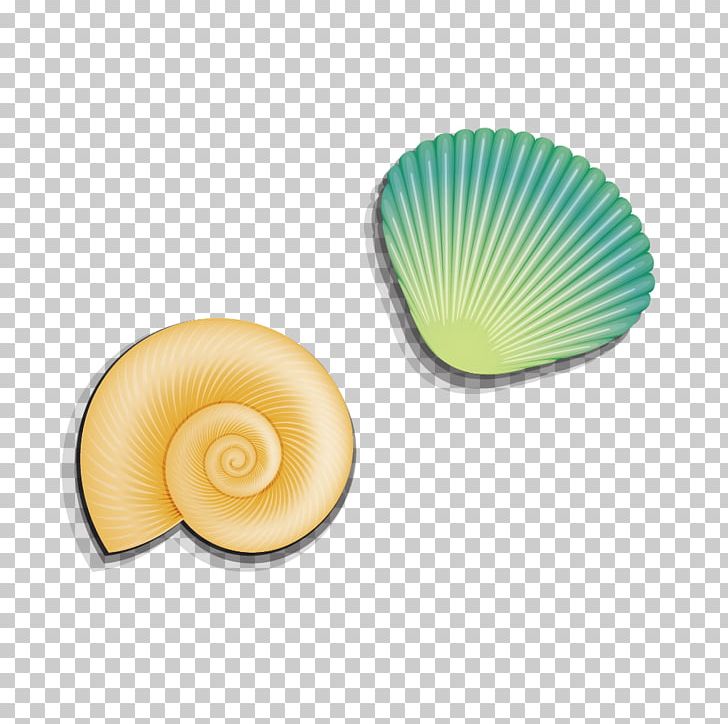 Seashell Sea Snail PNG, Clipart, Adobe Illustrator, Clip Art, Conc, Conch, Conch Vector Free PNG Download
