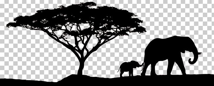 African Sunset Safari PNG, Clipart, African Elephant, African Sunset, Black, Black And White, Branch Free PNG Download