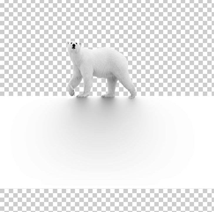 Polar Bear Dog Black And White PNG, Clipart, Animal, Animals, Arctic, Baby Bear, Bear Free PNG Download
