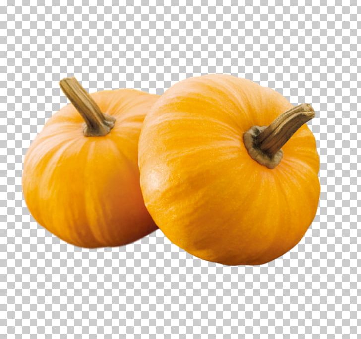 Pumpkin Pie Calabaza Gourd Winter Squash PNG, Clipart, Cartoon, Chinese Cuisine, Crop, Cucumber Gourd And Melon Family, Cucurbita Free PNG Download