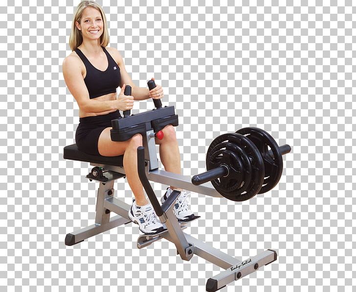 Calf Raises Exercise Equipment Fitness Centre PNG, Clipart, Arm, Bench, Biomechanics, Exercise, Exercise Equipment Free PNG Download