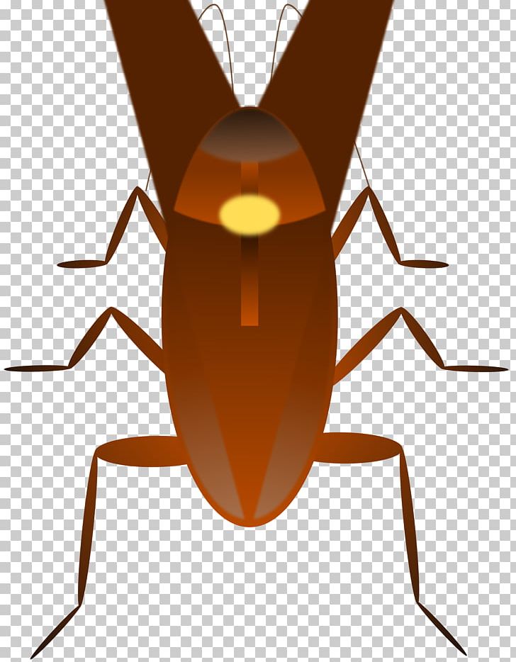 Dr. Cockroach Insect PNG, Clipart, Animals, Arthropod, Beetle, Cartoon, Cockroach Free PNG Download