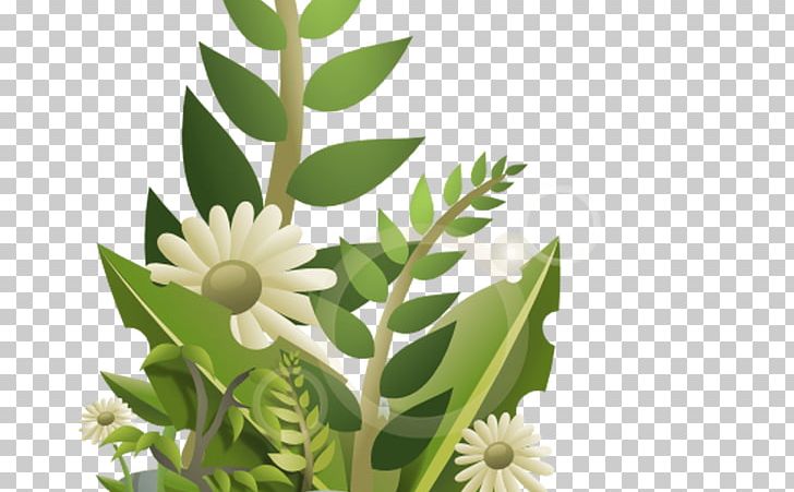 Flower Plants Graphics Floral Design PNG, Clipart, Drawing, Flora, Floral Design, Flower, Flower Bouquet Free PNG Download