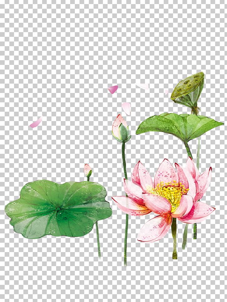 Nelumbo Nucifera PNG, Clipart, Artificial Flower, Blossom, Bud, Encapsulated Postscript, Floral Design Free PNG Download
