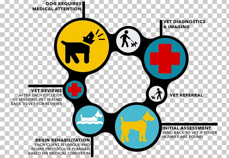 Veterinarian Veterinary Medicine Flowchart Physician PNG, Clipart, Area, Brand, Circle, Communication, Diagram Free PNG Download