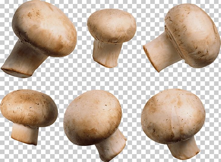 Common Mushroom Vegetarian Cuisine PNG, Clipart, Agaricaceae, Agaricomycetes, Agaricus, Amanita Muscaria, Appbreeze Free PNG Download