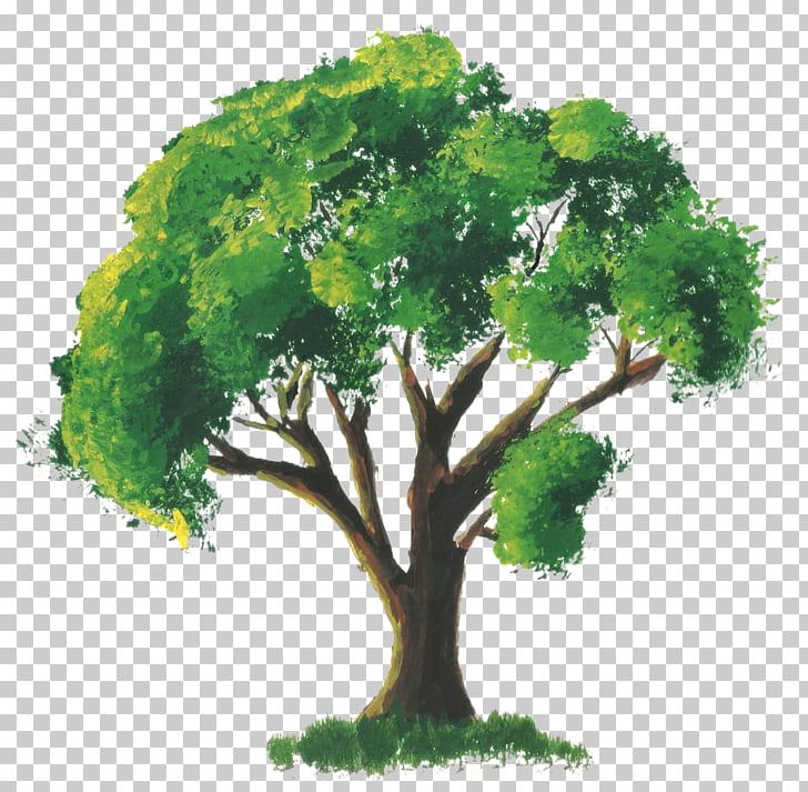 Tree Watercolor Painting Room PNG, Clipart, Anime, Branch, Drawing, Elm,  Grass Free PNG Download