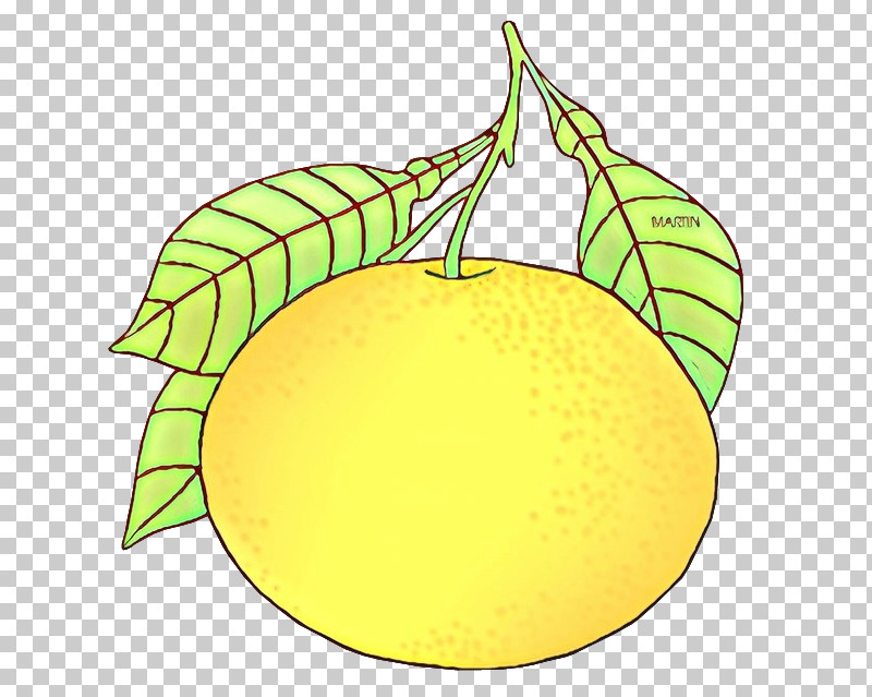 Citrus Leaf Fruit Lemon Yellow PNG, Clipart, Citrus, Fruit, Grapefruit, Leaf, Lemon Free PNG Download