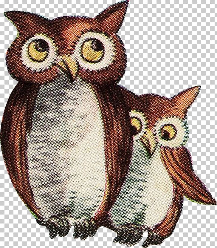 Bird Of Prey Owl Beak Animal PNG, Clipart, Animal, Animals, Beak, Bird, Bird Of Prey Free PNG Download