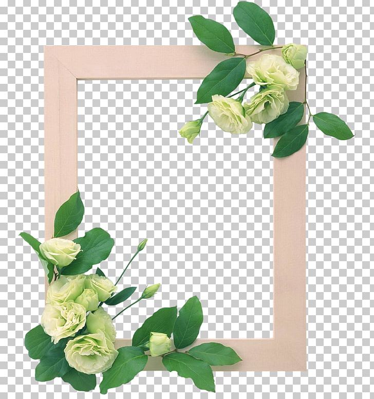 Flower Arranging Leaf Photography PNG, Clipart, Artificial Flower, Branch, Cut Flowers, Digital Image, Download Free PNG Download