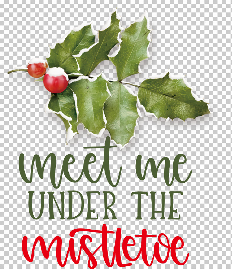 Meet Me Under The Mistletoe Mistletoe PNG, Clipart, Aquifoliales, Biology, Fruit, Holly, Leaf Free PNG Download