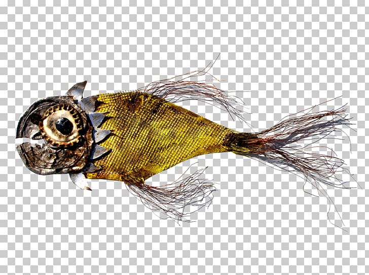 Fauna Pest Tail Fish PNG, Clipart, Fauna, Fish, Organism, Others, Pest Free PNG Download