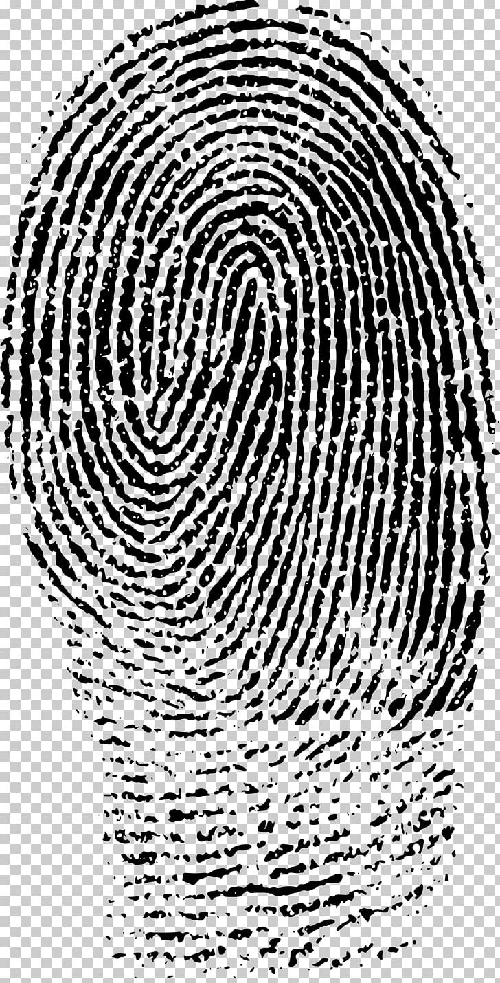 Fingerprint Evidence Forensic Science Crime Scene PNG, Clipart, Area, Black And White, Circle, Court, Crime Free PNG Download