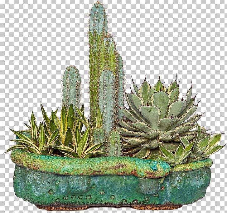 Flowerpot Succulent Plant Cactaceae Aloe PNG, Clipart, Aloe, Cactaceae, Cactus, Cactus Garden, Cactus Png Free PNG Download