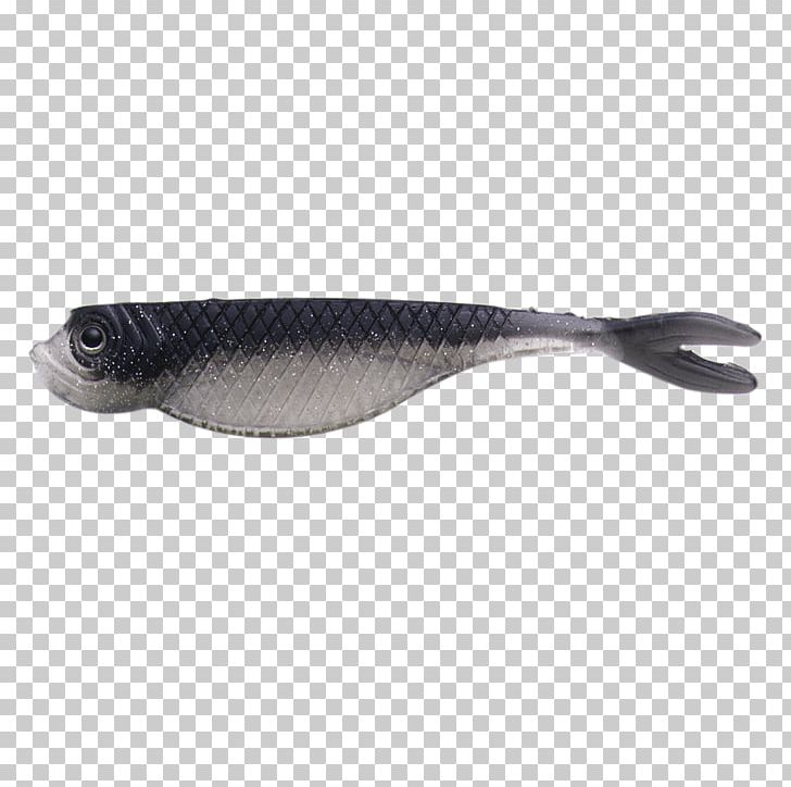 Herring Fish PNG, Clipart, Fish, Herring, Twiggy Free PNG Download