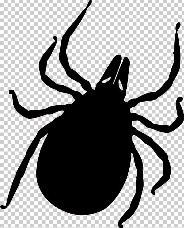 Tick-borne Disease Lyme Disease Deer Tick Insect Bites And Stings PNG, Clipart, Acari, Art, Arthropod, Artwork, Black And White Free PNG Download