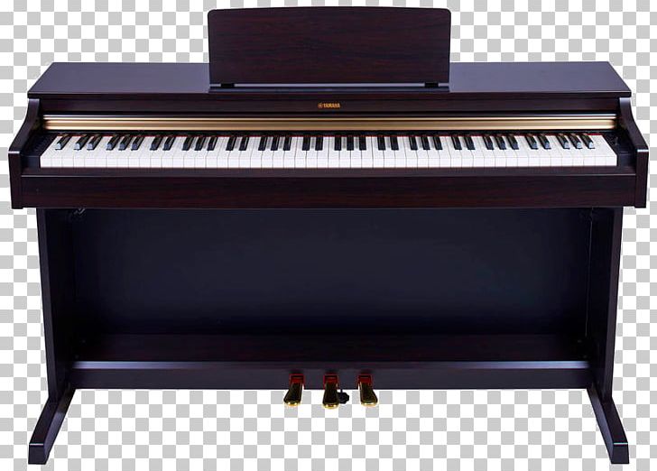 Digital Piano Electric Piano Pianet Player Piano Musical Keyboard PNG, Clipart, Casio Kibord, Celesta, Digital Piano, Electro, Electronic Musical Instruments Free PNG Download