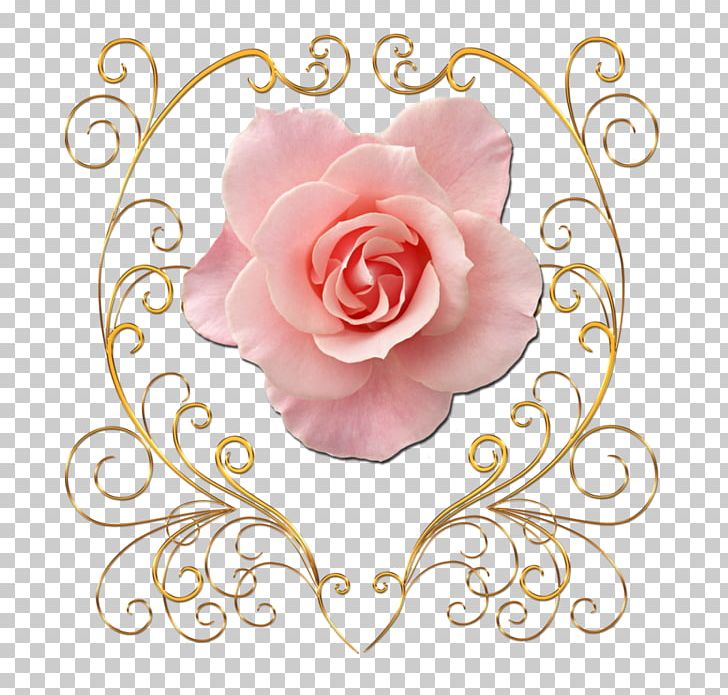 Garden Roses Flower Petal PNG, Clipart, Art, Beach Rose, Cicek, Cicek Resimleri, Circle Free PNG Download