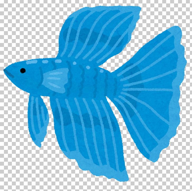 Siamese Fighting Fish Tropical Fish Aquariums Cup PNG, Clipart, 5channel, 2018, Animal, Aqua, Aquariums Free PNG Download