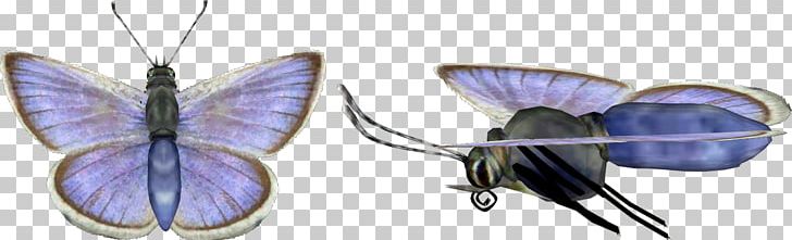 Body Jewellery Insect PNG, Clipart, Ambient, Arthropod, Blue, Blue Butterfly, Body Jewellery Free PNG Download