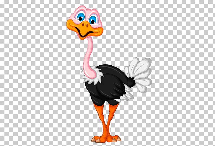 Common Ostrich Ratite PNG, Clipart, Beak, Bird, Blog, Cartoon, Chicken Free PNG Download