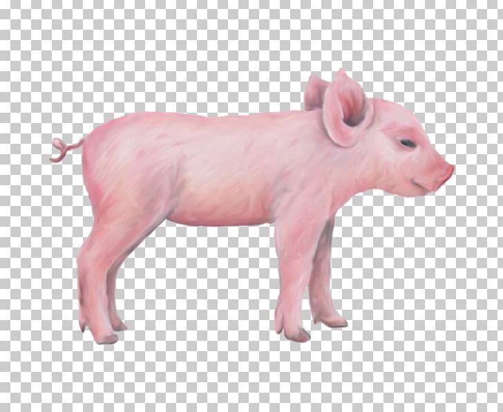 Miniature Pig Wall Decal Sticker Farm PNG, Clipart, Animal, Animals, Breed, Cattle Like Mammal, Decal Free PNG Download