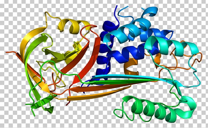 Plasminogen Activator Inhibitor-2 Plasminogen Activator Inhibitor-1 Serpin PNG, Clipart, Activator, Area, Art, Miscellaneous, Others Free PNG Download