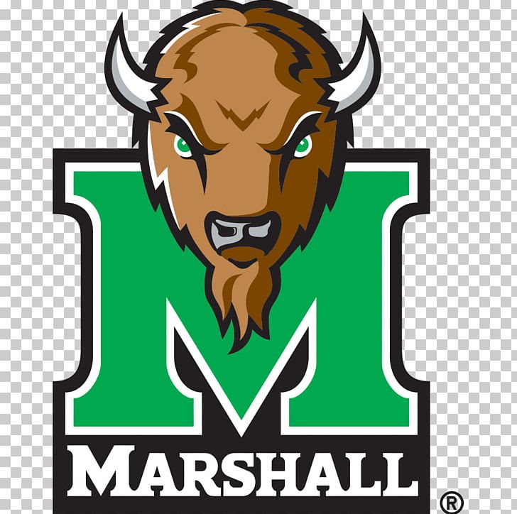 Marshall University Marshall Thundering Herd Football Marshall Thundering Herd Men's Basketball Logo PNG, Clipart, Artwork, Brand, Cattle Like Mammal, College, Decal Free PNG Download