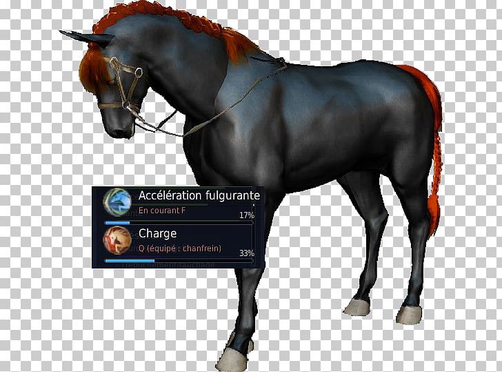 Stallion Mustang Halter Mare Equestrian PNG, Clipart, Bit, Black Desert Online, Bridle, Equestrian, Equestrian Sport Free PNG Download