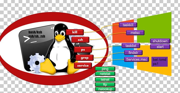 Penguin Product Design Brand Linux PNG, Clipart, Administration, Advertising, Animals, Animated Cartoon, Awk Free PNG Download