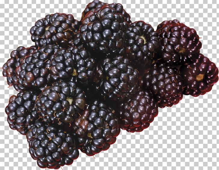 Blackberry Fruit Frutti Di Bosco PNG, Clipart, Blackberry Png, Boysenberry, Digital Image, Download , Food Free PNG Download