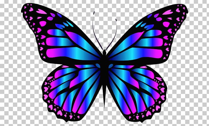 Butterfly Insect Blue PNG, Clipart, Blue, Brush Footed Butterfly, Butterfly, Butterfly Clipart, Color Free PNG Download