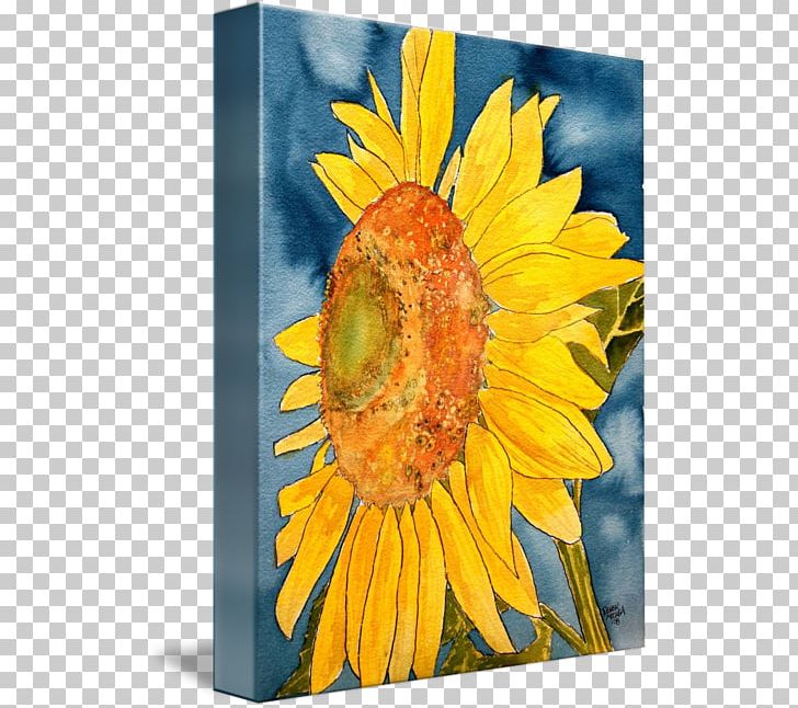 Common Sunflower Watercolor Painting Art Drawing PNG, Clipart, Acrylic Paint, Art, Canvas, Common Sunflower, Daisy Family Free PNG Download