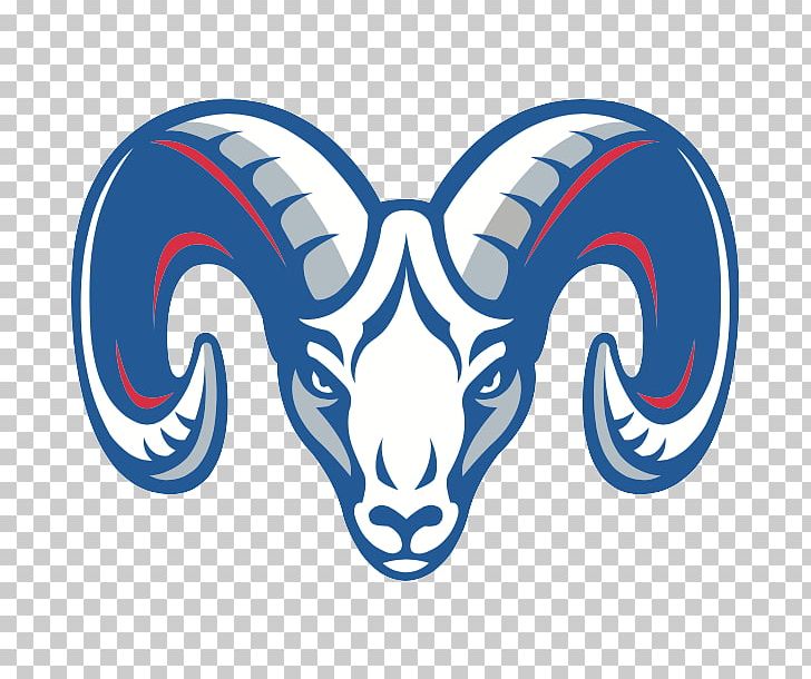 Leesburg Riverside High School Los Angeles Rams Sport National Secondary School PNG, Clipart, American Football, Blue, Cheerleading, Coach, Education Free PNG Download