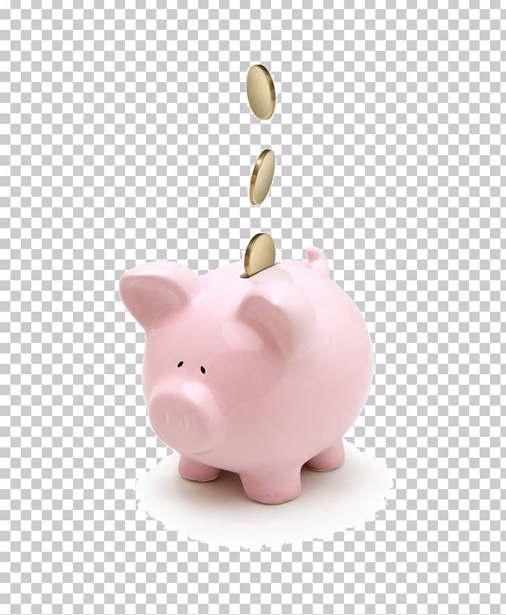 Money Piggy Bank Saving Coin Finance PNG, Clipart, Animal, Bank, Bank Card, Banking, Banks Free PNG Download